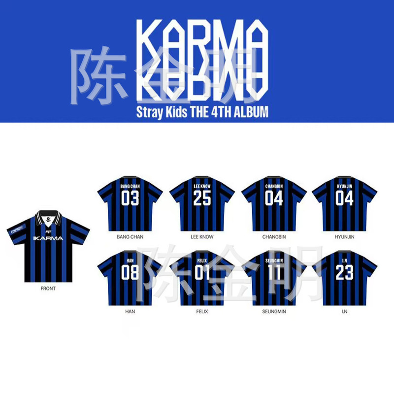 2025 New V Neck Jersey Stripes Digital English Design Polo Shirt Top Versatile Casual Style