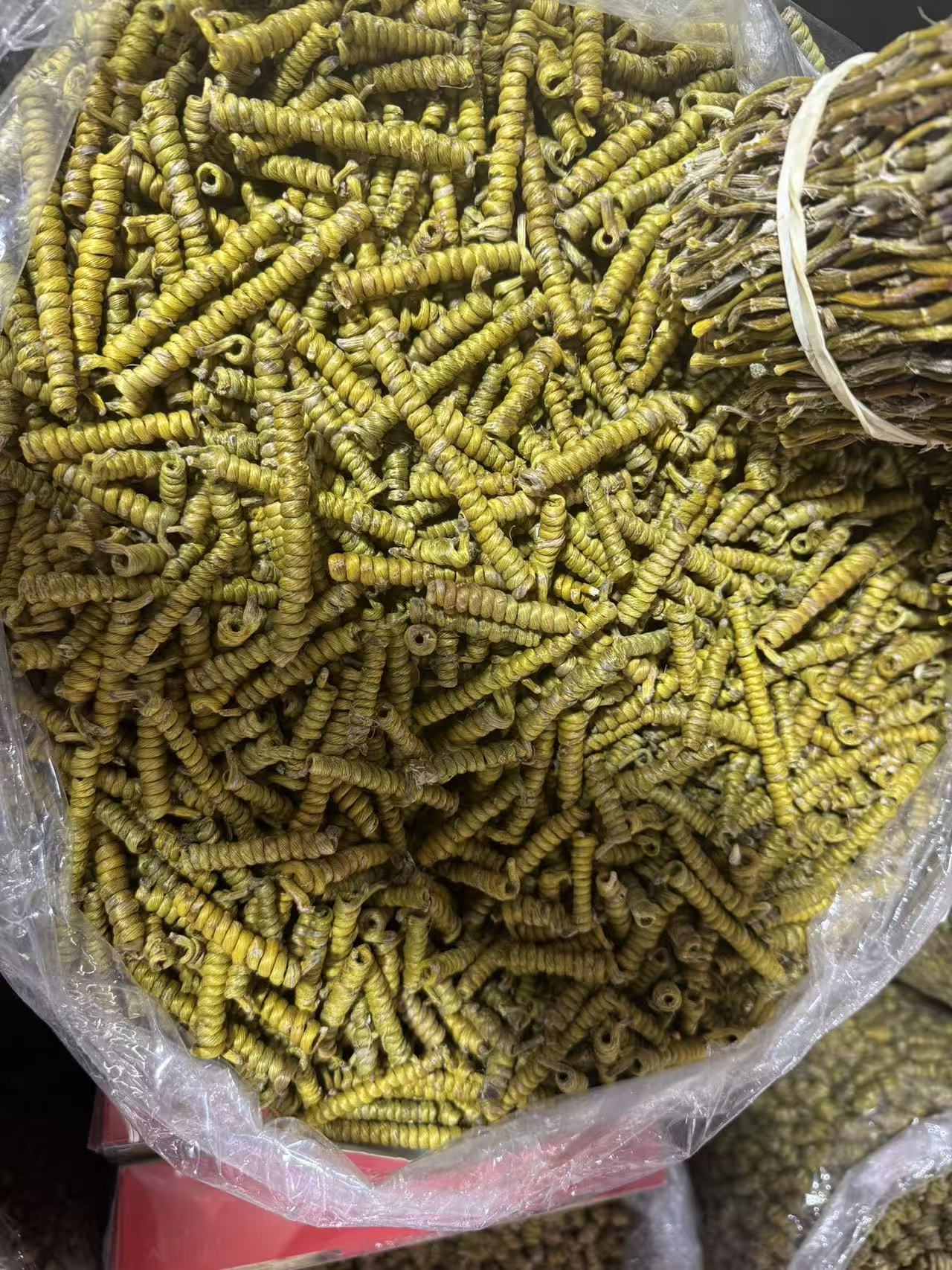 Huo Shan Tie Pi Shi Hu Feng Dou Dendrobium Officinale Dried Stems Whole Spiral Strips for Tea and Soup 1000g Bag in use