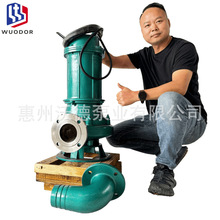 �����Ǳˮ��ˮ��200QWP210-35-45���ֵ��͸�ʴ��ҵ���۳�ˮװ��