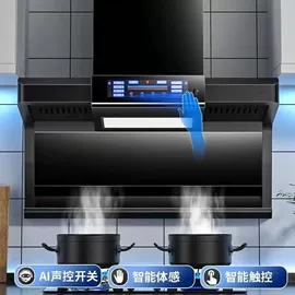 家用采暖炉;暖风机取暖器;抽油烟机