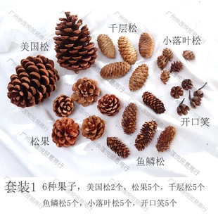 �ɹ���ɏ��ѩ�����޻��ɻ�ɭϵ���ϰ�diy�ֹ��׃��@�h������