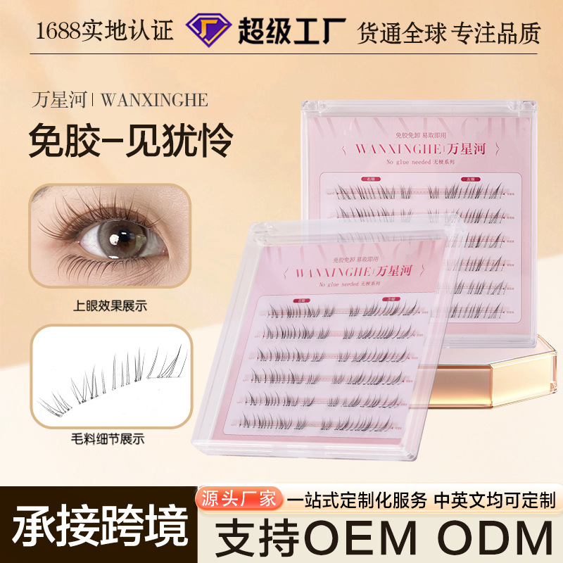 universal false eyelashes for eyelashes
