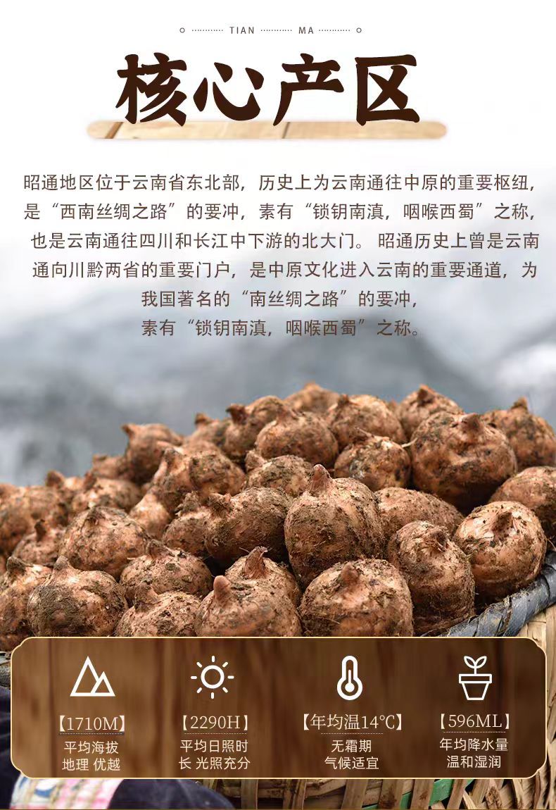 Yunnan Zhaotong Tian Ma Slices (Gastrodia elata) — Wild-Grade 500g Sulfur-Free Dried Rhizome key features