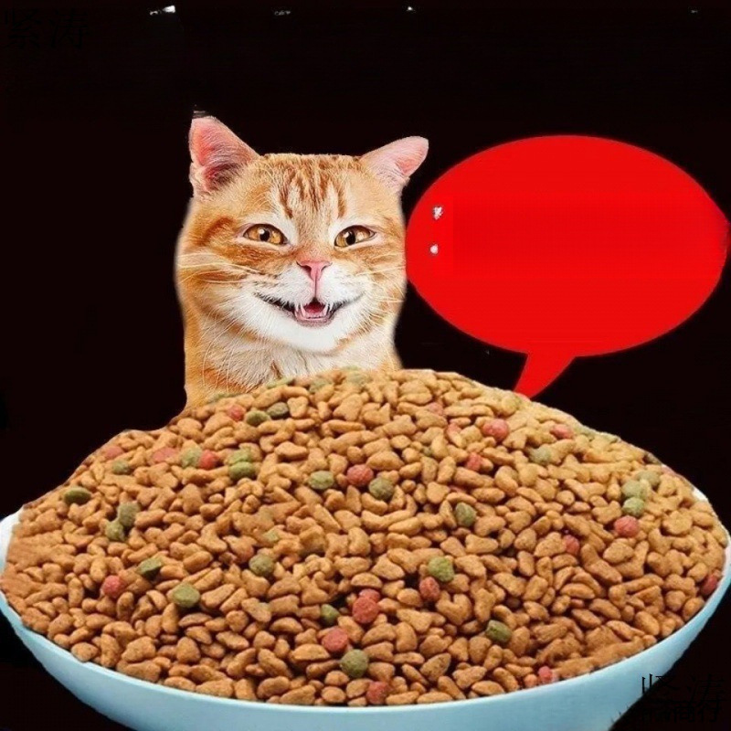 Wholesale Main Cat Food, Universal Cat Food, General-Purpose Fish Meat Flavor-Enhanced Natural Cat Food for Kittens and Adult Cats Wholesale Main Cat Food, Universal Cat Food, General-Purpose Fish Meat Flavor-Enhanced Natural Cat Food for Kittens and Adult Cats