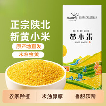 ꄱ��SС����С���r���Ԯa����5����ȼZС����Z��濵����