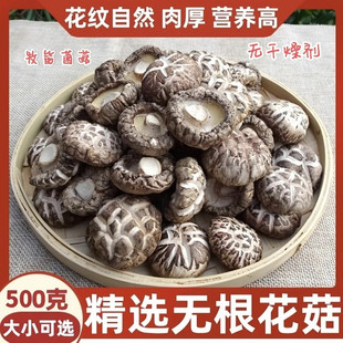 �㹽�����a��؛500g���]���r�I�BС���㹽���������r��Ģ�����l