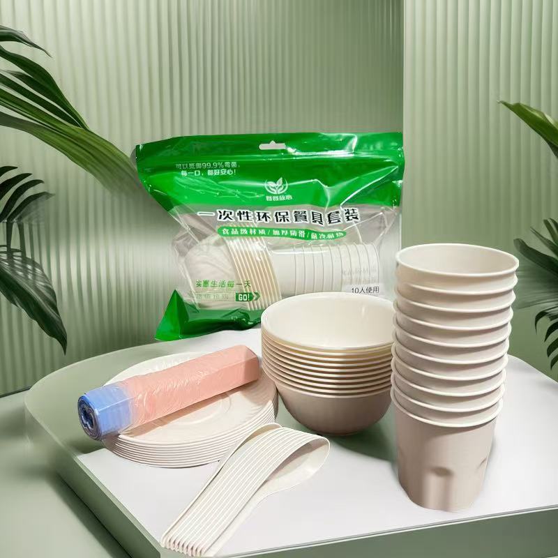 Commercial High-Quality Eco-Friendly Travel Portable Ten-Piece Disposable Bowl and Chopstick Set for Picnic and Barbecue, Wholesale from Manufacturer