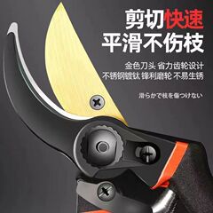 一件代發園林修枝剪刀果樹剪枝粗枝剪工人修花園藝剪修剪型樹枝剪