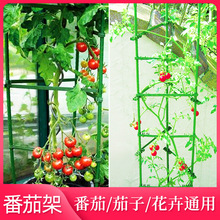 豆角架子蔬菜瓜果黃瓜爬藤架種植花枝攀爬架支撐桿番茄西紅柿支架
