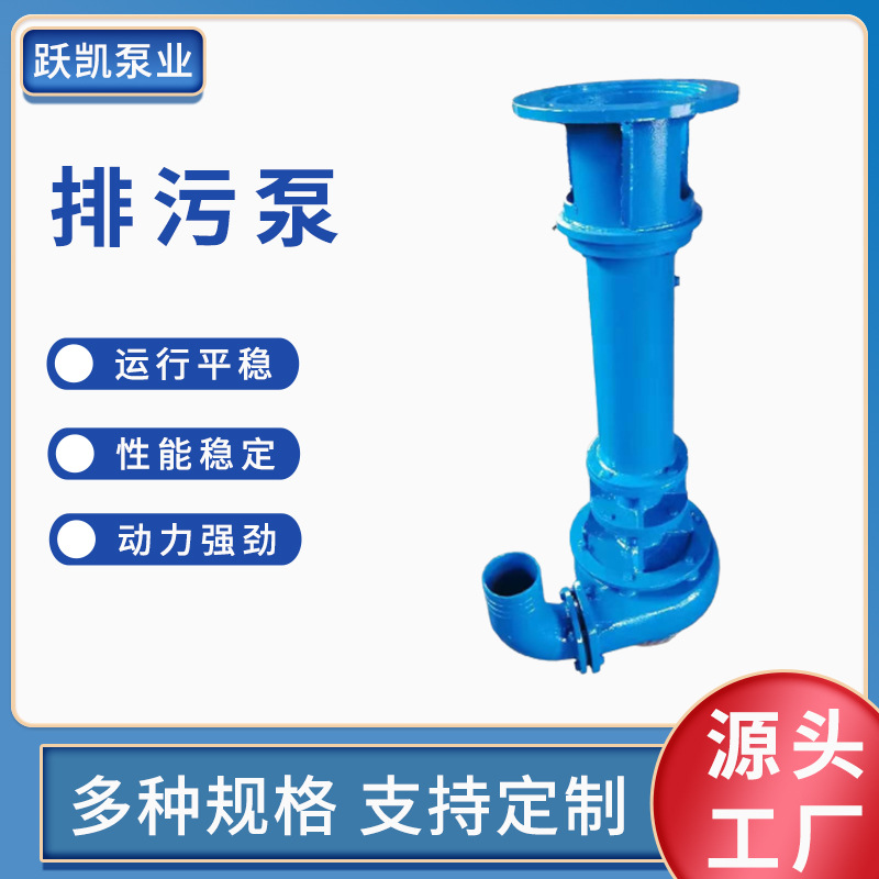 液下排污泵大流量高扬程污水废水排水泵池塘耐腐蚀工程矿用泥浆泵