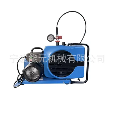 Hava kompressorları Filling Pump Portable High Pressure
