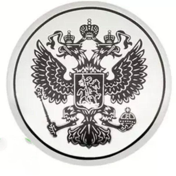 Car Hub Cap 60mm Shield-Shaped Russian Car Sticker Nickel Metal Russian Text Federal Eagle
