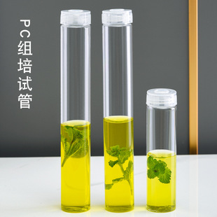 初代苗试管瓶组培瓶耐高温实验室瓶透气管制瓶PC瓶高透高亮-阿里巴巴