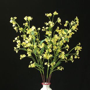 �����֦���㻨 СҰ���Ͳ˻��Ҿ�ܛ�b�[�O�Ƶ��b�c���û���