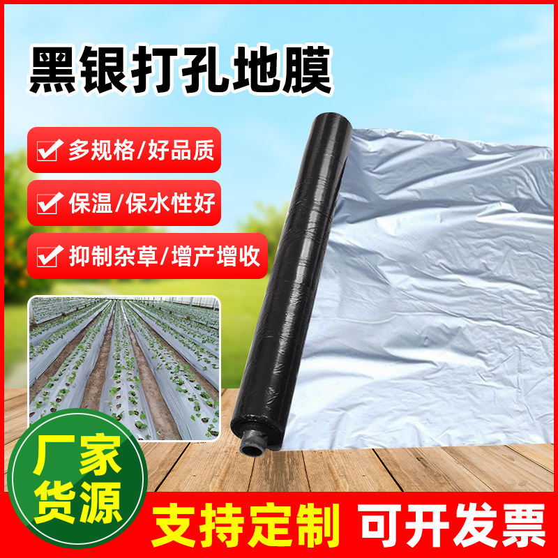银黑色打孔农用塑料薄膜两面有孔保温度塑料薄膜除草种植地膜厂家