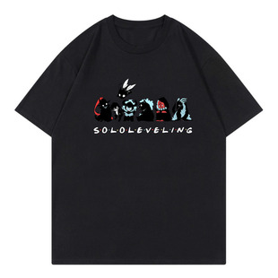 Solo Leveling �Ҫ�����������ŮʽT��