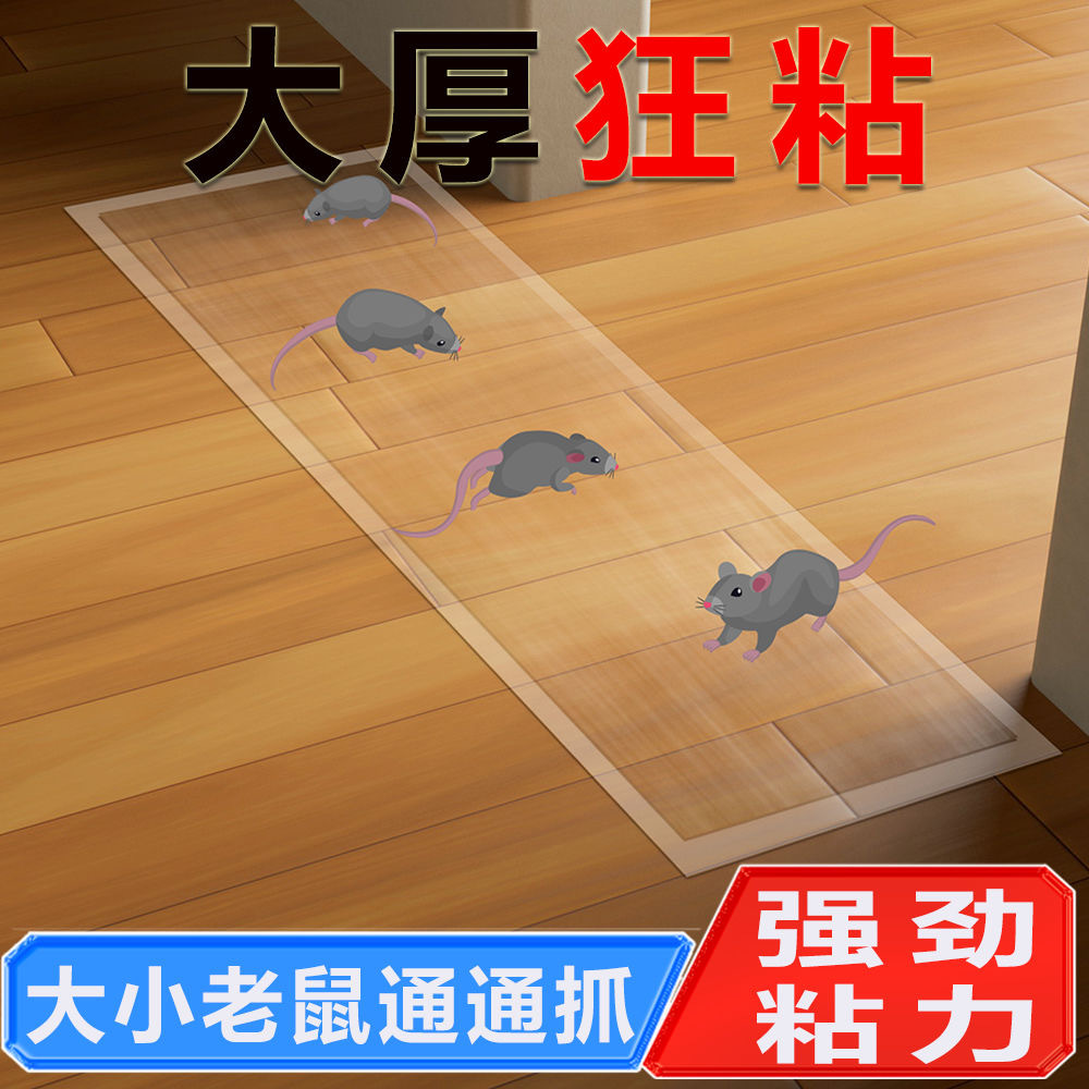 Sticky Mouse Board Transparent Sticky Mouse Blanket Household Large Mouse-Killing Magic Carpet Artifact to Seal the Road and Block the Door to Kill Rats and Mice Sticky Mouse Stickers