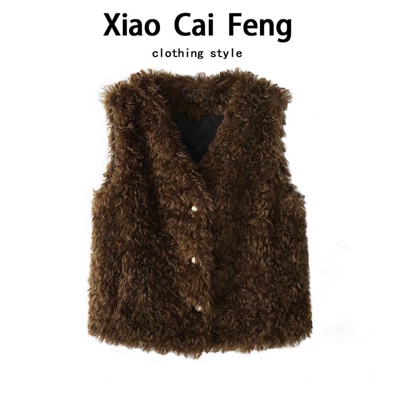 Faux Fur Vest with Lamb Wool, Thickened Coat for Autumn and Winter, New Style, Loose Casual Versatile Vest, Trendy