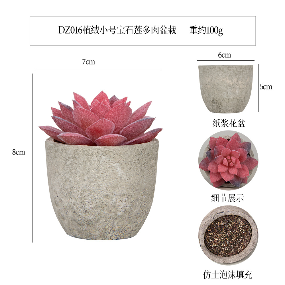 Flocado tamaño pequeño joya de loto suculentas mini pulpa maceta planta verde bonsai decoración de escritorio regalo planta de simulación