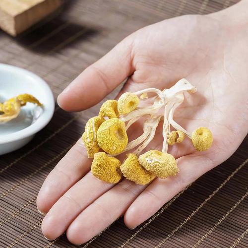 Chicken mushroom Yunnan original place golden mushroom wholesale price chicken fungus yellow silk fungus edible fungus origin manufacturer