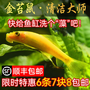 ��̦���̦���~�Ꭷ�^�p�~��������~�~�׳����~�坍�~���~�����~