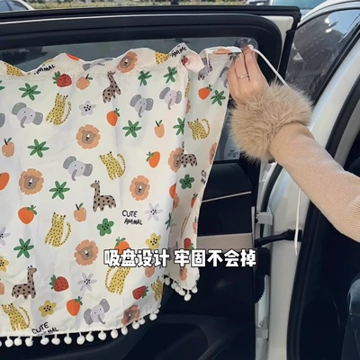 Car curtains | cloth
