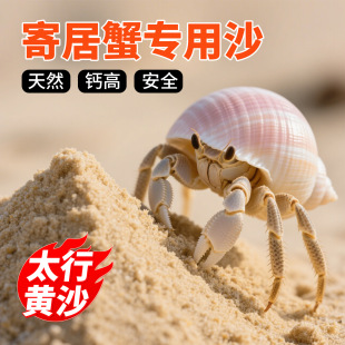 �ľ�з����ɳ�������~���쾰�ײ�ɰʯɳ�Ӽľ�з��Bɳɺ��ɳ��ɳ