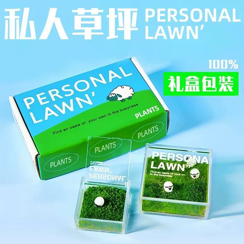 Частный газонный мох, микроландшафт, офисный рабочий стол, маленькое растение в горшке, креативный ландшафтный дизайн, зеленое растение, подарок на день рождения