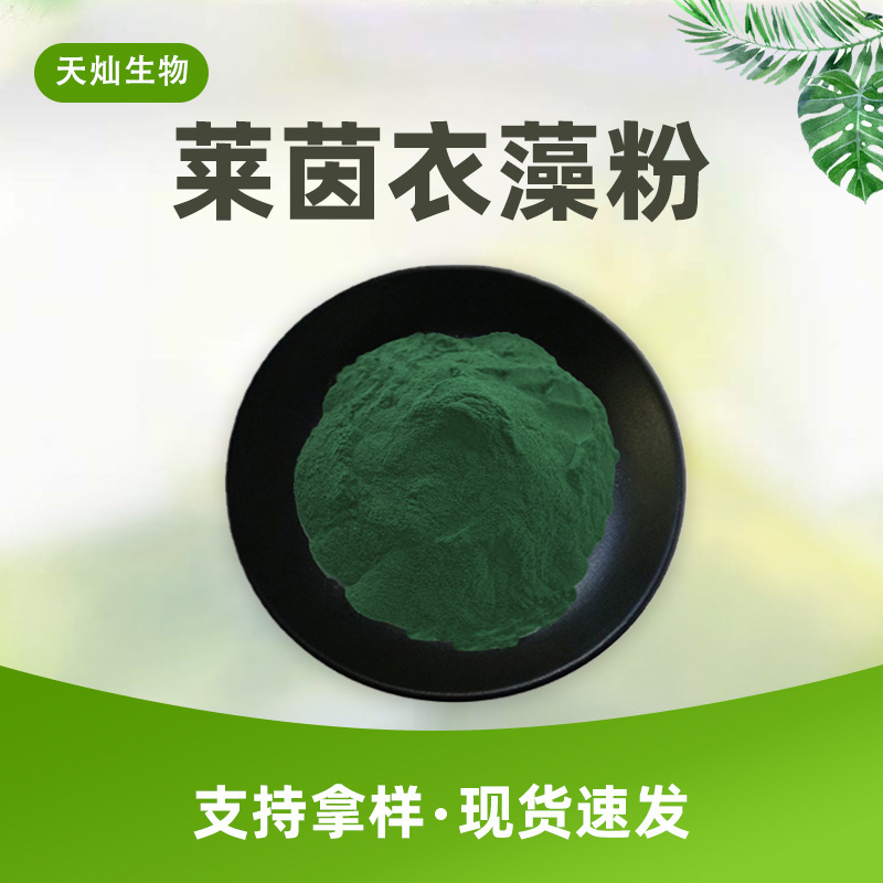 Rheinococcus Algae Powder, Rheinococcus Algae Extract, Food Ingredient, Protein ≥30%, Crude Polysaccharide ≥10%, in Stock Rheinococcus Algae Powder, Rheinococcus Algae Extract, Food Ingredient, Protein ≥30%, Crude Polysaccharide ≥10%, in Stock