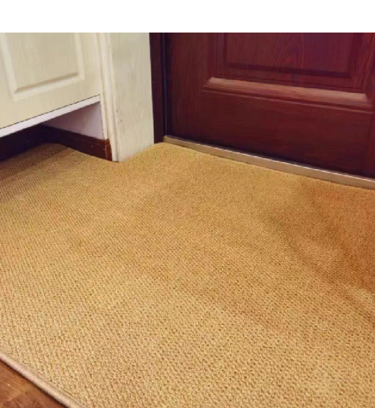 Imitation Sisal Anti-Cat Claw Carpet Home Tea Room Bedroom Tatami Car Side Blanket Pineapple Ring Tpe Bottom Pet Floor Mat