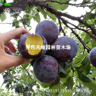 �޽ӹ�����ڲ������Ә����S��ڲ���������������ϱ�������Y��