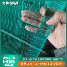 厂家批发鱼塘防鸟网 水产养殖农用养鸡网大棚防护网果园果树樱桃