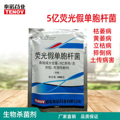 Manufactor Supplying 500 million fluorescence Bacillus Biology bactericide Continuous cropping 1kg withered Root rot Organic