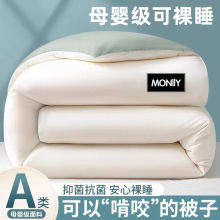 a类大豆纤维被子冬被加厚保暖棉被芯冬季厚款春秋被褥商超礼品被