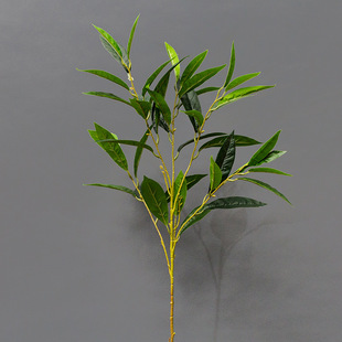 �����~֦ ���滨�Gֲ �Ҿӿ͏dܛ�b�[�O ��c�����zӰ����