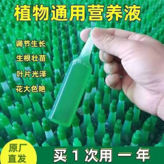 栄養液植物共通型緑羅富貴竹発財樹多肉水培養花卉緑植盆植花肥料