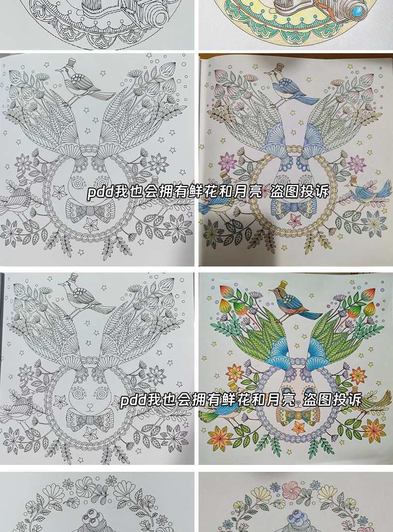 f521e629-50d8-43b3-bb82-27f1b8076211.jpe