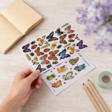 �����ľ߿�ͨ�����N��PVC���l�����z���ƌ��I�S���մɻ��մɻ�