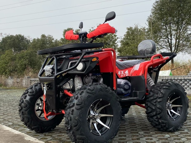 Arctic Sky 工場直販 CE 認証大人用四輪駆動オフロード ATV 4x4 カート 2 人乗りオートバイ ATV|undefined