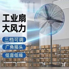 ���ʹ��I�L�ȏ�������ȳ���ȩ��ڹ��ܴ��L����L�ȹ��Sţ����