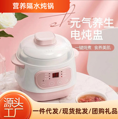 新款电炖锅全自动家用内胆陶瓷婴儿小型多功能隔水炖燕窝电煮锅