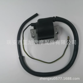 点火线圈;电子调节器;车身及附件