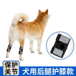 跨境新品宠物护膝狗狗后腿保护套狗护腿老龄犬辅助支撑运动可调节