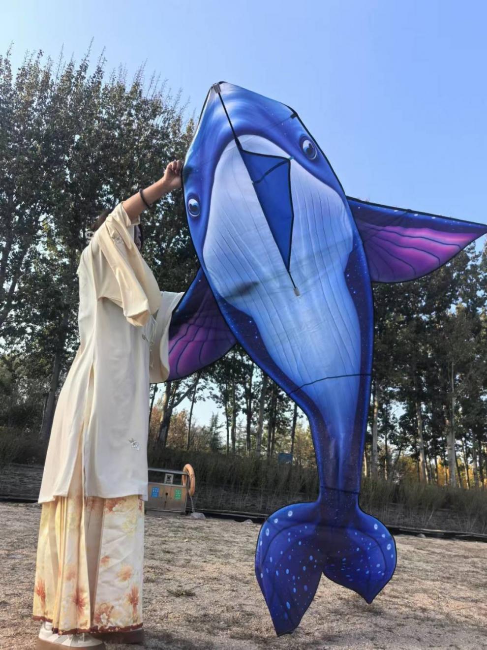 f6cd4cee-2bc2-4624-afc6-b2dc95a451a4.jpe