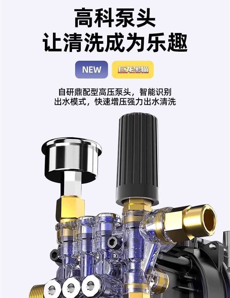 Julong Black Cat High-Pressure Car Washer 220V Household Cleaning Machine High-Power Farm Washing and Car Washing Pump