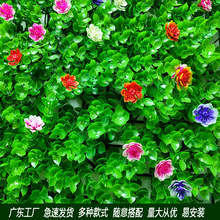 ֲʲ\ݾGֲ҃Ȼ@bcƺϻSl