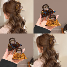 �nϵ�W�t����ͬ�����Ǵ���ץ�A�����l���~�A�l���r���p�ݰl�A�^�