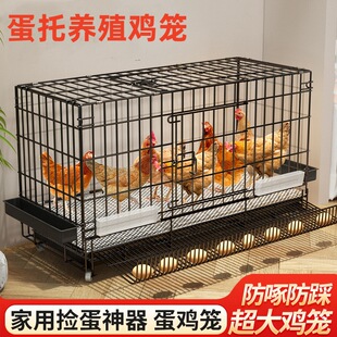 �u�\�Ӵ�̖�ش��Bֳ�\�Ԅ���S�u���Bֳ�u�\�������\���\����Ȯ
