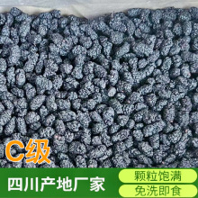 C级桑葚干代用茶四川无沙食用黑桑椹干子果馅散装即食批发中颗粒