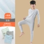 薄款秋冬男童儿童秋裤